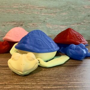 Chill Turtle Flexi Toy with Hidden Storage